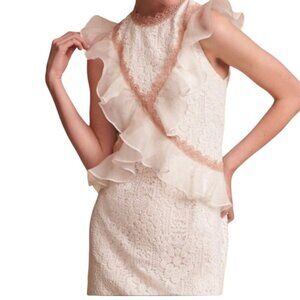 Amur Topeka Lace and Silk Dress